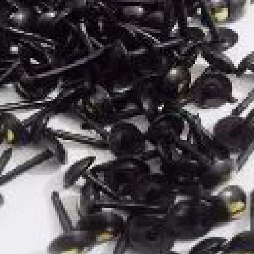 Falcão espumas em Bauru - Tachinha-ouro-velho