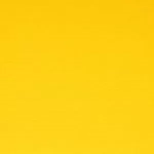 Bagum Amarelo